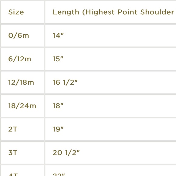 New with tags! Fully lined corduroy dress with back button closure. - Picture 4 of 4